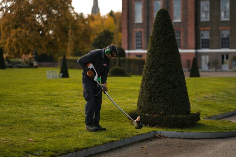 Read more about the article Why Landscapers Need a Website in 2026
