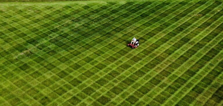 Read more about the article Is Your Landscaping Business Invisible Online?
