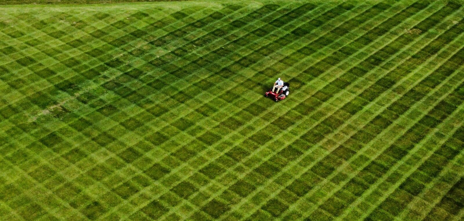 You are currently viewing Is Your Landscaping Business Invisible Online?