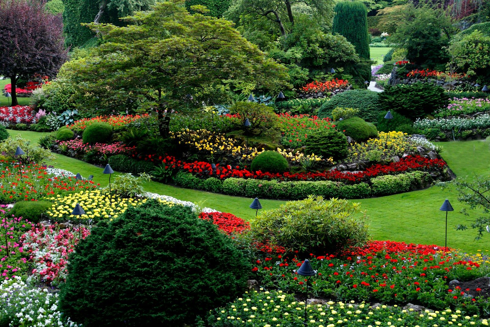 You are currently viewing How Much Does a Landscaper Website Cost in 2026? NY Pricing Guide