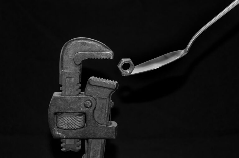 Read more about the article Plumber Website: Wix vs WordPress vs Custom Design in 2026